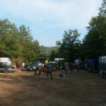 raduno equestre 2